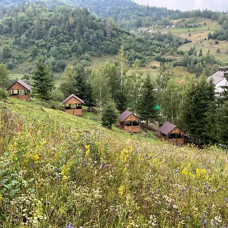 Terem