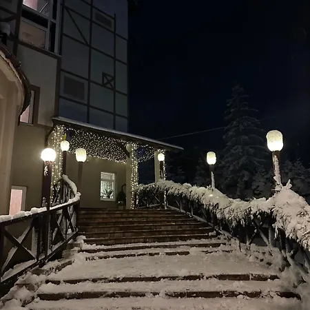ホテル Terem スラブスク