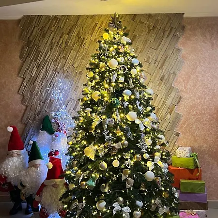 Terem Hotel 3*