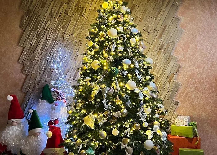 Terem Otel 3*